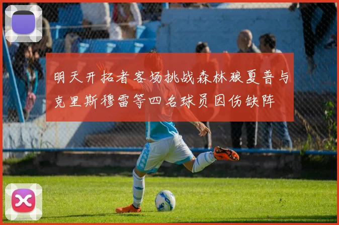 明天开拓者客场挑战森林狼夏普与克里斯穆雷等四名球员因伤缺阵