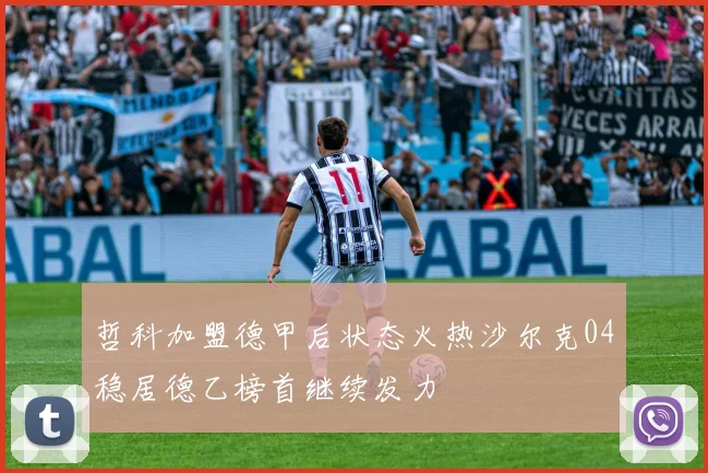 哲科加盟德甲后状态火热沙尔克04稳居德乙榜首继续发力